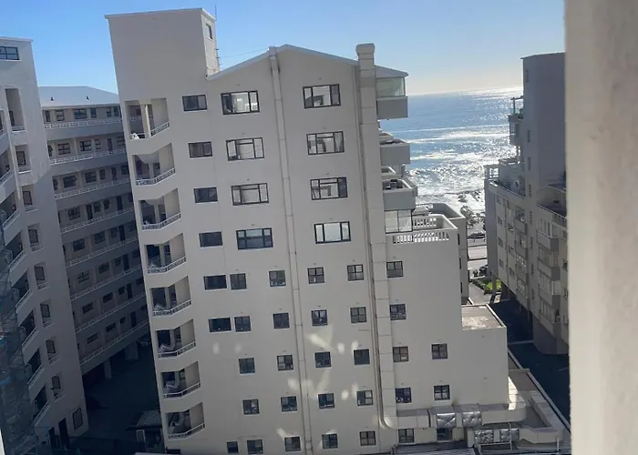 Flamingo In Sea Point With Mountain View